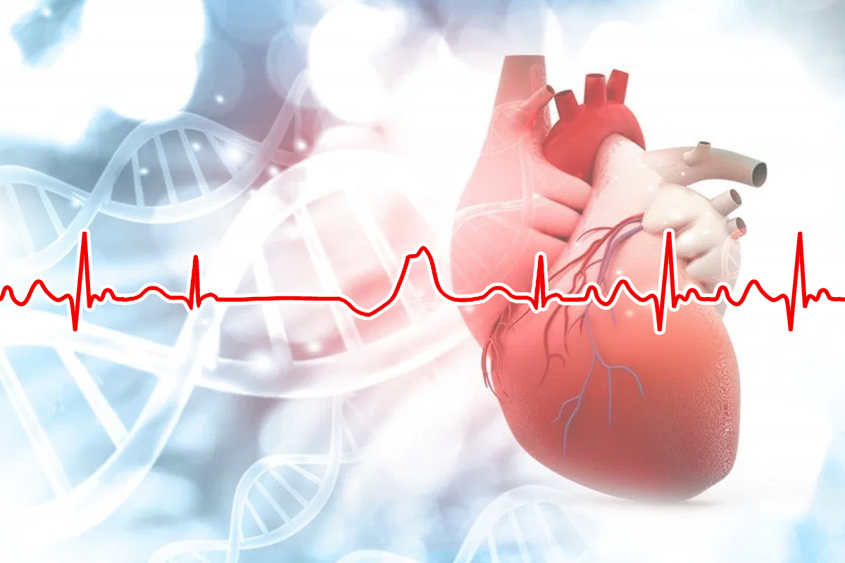 Causes of Palpitation