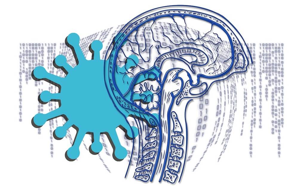 Covid-19 and brain damage